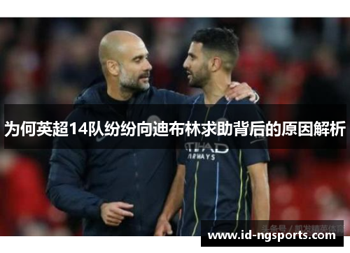 为何英超14队纷纷向迪布林求助背后的原因解析