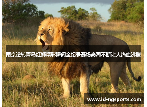 南京逆转青岛红狮精彩瞬间全纪录赛场高潮不断让人热血沸腾